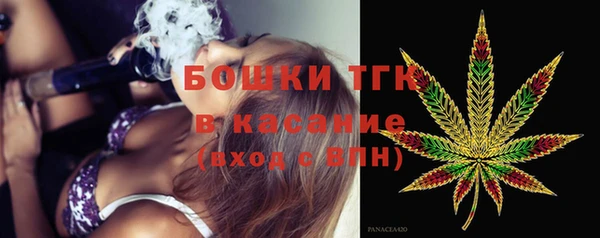 гидра Бронницы