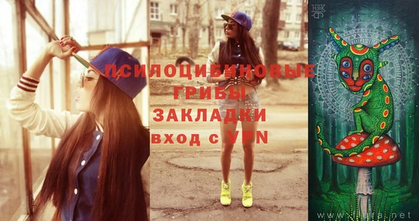 сатива Бугульма