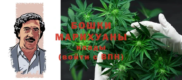MESCALINE Бородино