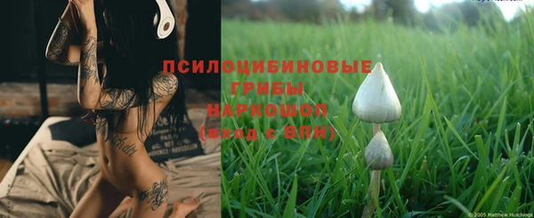 Альфа ПВП Сясьстрой