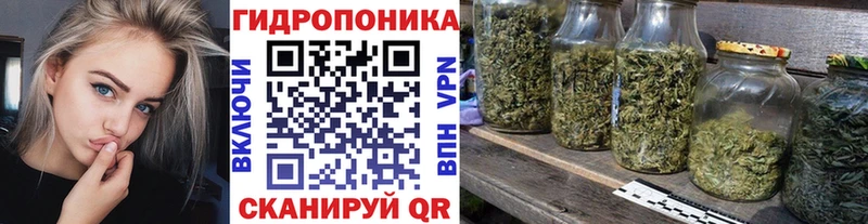 Конопля SATIVA & INDICA  Ростов 